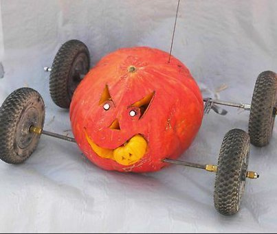 Great Pumpkin Race in Ocean City on the Eastern Shore of Maryland