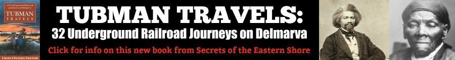 Tubman Travels Book