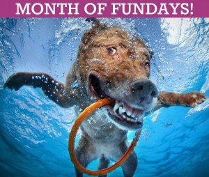 Month of Fundays on Delmarva