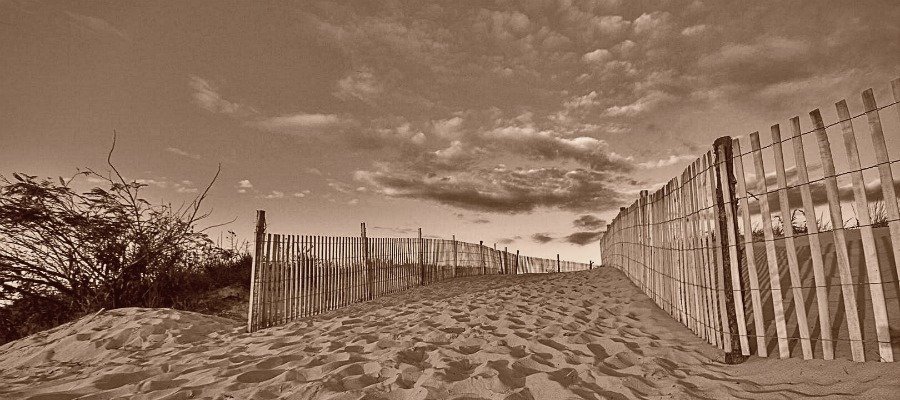 Quote of the Day: A Shocking Discovery on the Dunes of Fenwick Island, c. 1900