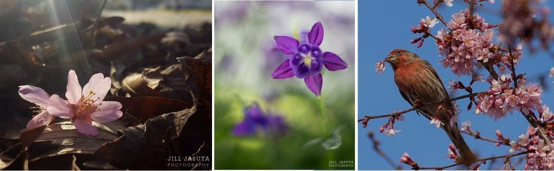 MONTH OF FUNDAYS: Fun Events & Cool Happenings in March 2019