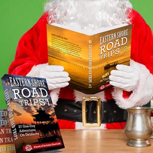 Secrets of the Eastern Shore Books for Christmas