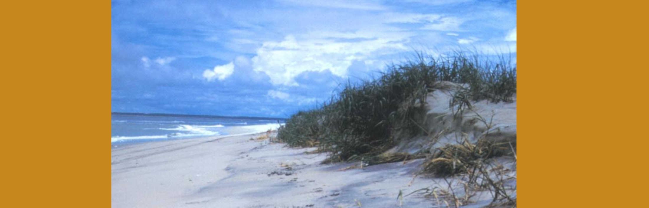 A Poetic Interlude, 1909: A Storm “On the Worcester Coast”