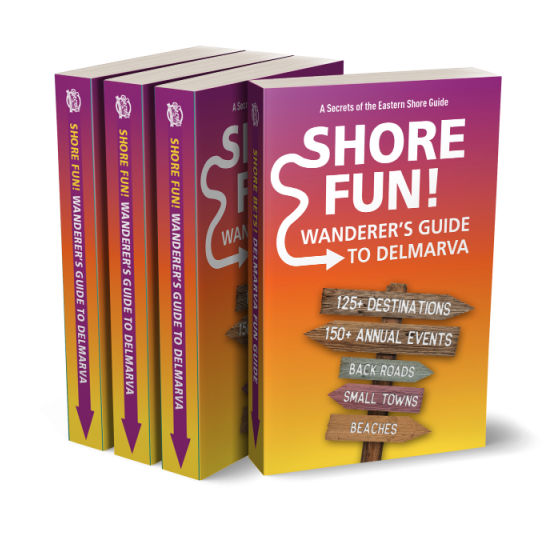 Shore Fun Books Mockup