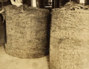 Hogsheads of tobacco