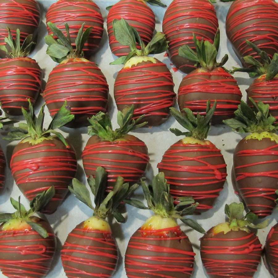 Chocolate Festival March Main Events