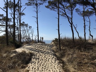 Savage Neck Dunes Virginia
