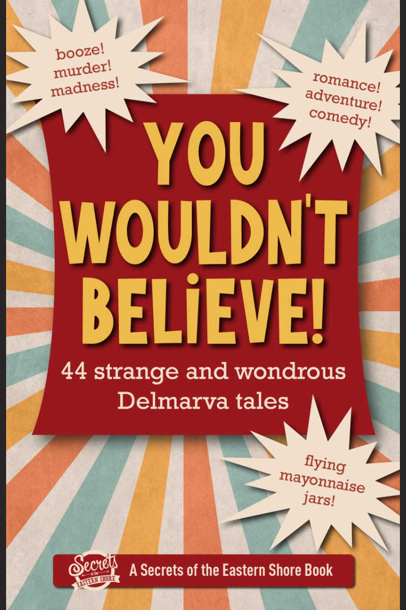 You Wouldn't Believe Cover 800 x 1200