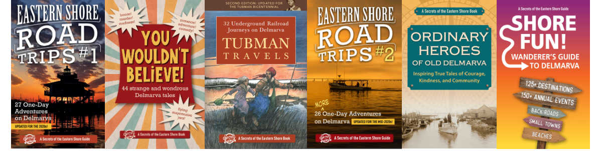 Fundays Ad Six Book Titles