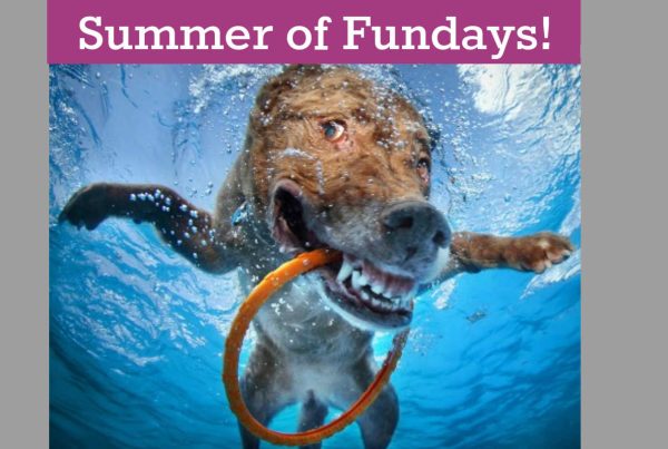 Fundays Summer Happy Dog Featured Photo
